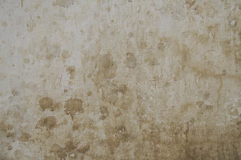 Wall Free Texture For Photoshop Design Texturepalace Com